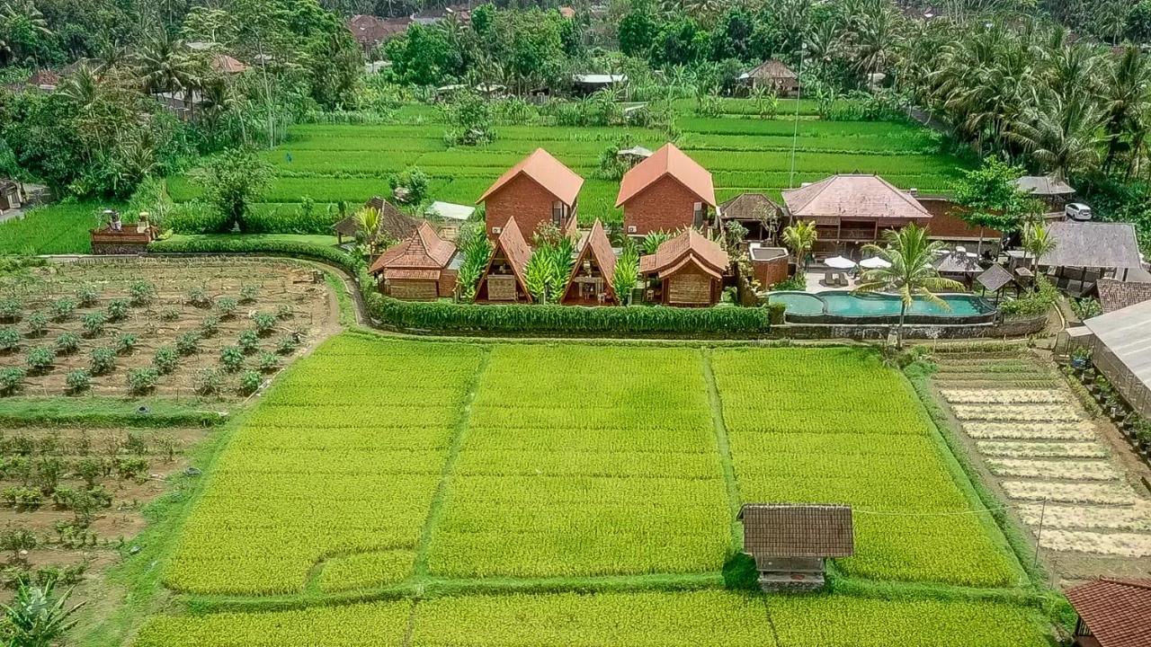 Alam Kawi Ubud Resort & Spa Payangan Exteriér fotografie